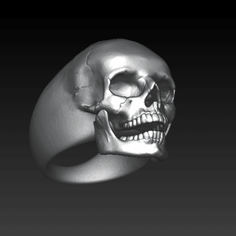 white rhino jewelry skull ring human 3D print model - Mito3D