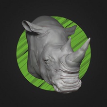 white rhino head high poly art rhinoceros animal sculpture zbrush horn 3d print model - Mito3D