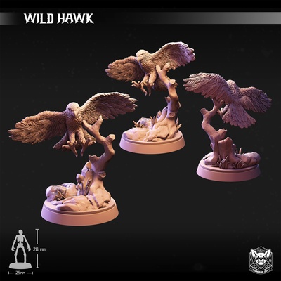 wild hawk eagle creature dungeonsanddragons dnd tabletop miniature ttrpg rpg bird 3d print model - Mito3D