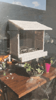 window bird feeder birds garden 3d print model - Mito3D