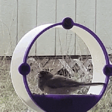 window bird feeder seed house decor birds 3d print model - Mito3D
