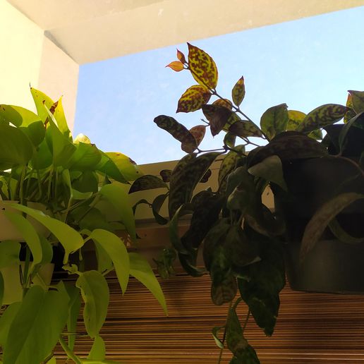 window plant pot hook 3D print model - Mito3D