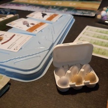 Envergadura ovo bandeja jogos arte jogo tabuleiro caixa Páscoa ovos suporte Comida brinquedo acessórios 3d print model - Mito3D