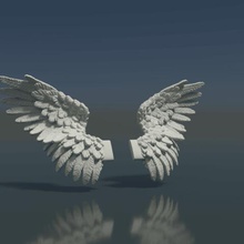 wings art feather bird angel sky haven air 3d print model - Mito3D