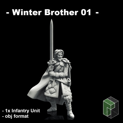 winter brother 01 unsupported soldiers warriors armored knights miniature mini tabletop table dnd dungeons dragons rpg greatsword sword shields fantasy wargame nights watch brothers in arms cloak 3d print model - Mito3D