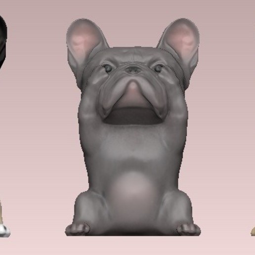 saggio bulldog francese cane saggi cucciolo regalo saggezza animale arte giocattolo decorazione ornamento carino 3D print model - Mito3D