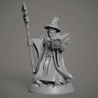 bruxo tampo mesa jogos arte dnd humano minis figura fantasia chapéu varinha livro mago feiticeiro mágico lichia 3d print model - Mito3D