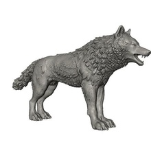 wolf art dog hound carnivora canine wild beast