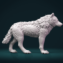 wolf iii art sculpture miniature figurine statue beast canine fir mammal carnivora 3d print model - Mito3D
