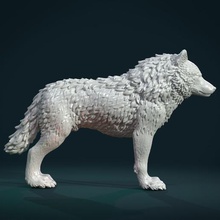 wolf iv art carnivora mammal fir canine beast statue figurine miniature sculpture 3d print model - Mito3D