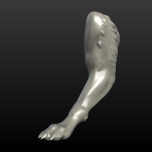 kurt pençesi çeşitli canavar claw 3d print model - Mito3D