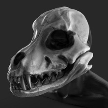 Loup crâne masque art casque Halloween cosplay 3d print model - Mito3D