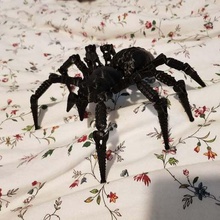 Kurt örümcek yeniden karıştırılmış arapça Aranha hayvanlar 3d print model - Mito3D
