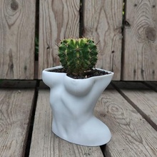donna corpo pentola fioriera 2 arte cactus femmina giardino giardinaggio piantagione 3d print model - Mito3D