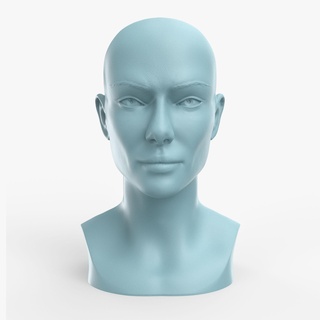 femme tête statue sculpter femelle impression prêt décimé décoration cnc visage calcul buste fille analyse personnage 3d print model - Mito3D