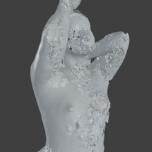 donna torso 3d print model - Mito3D
