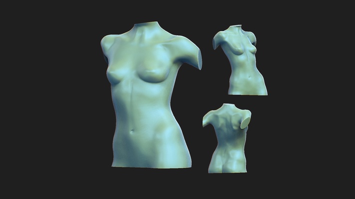 donna torso 2 arte 3d print model - Mito3D