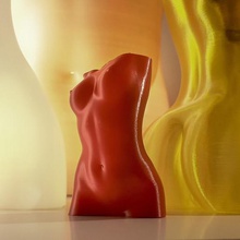 femme torse vasemode art le de la mode 3d print model - Mito3D