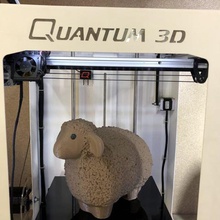 wooly && lazy sheep art animals quantum3d decoration 3d print model - Mito3D