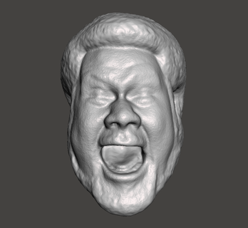 wwe wwf ljn estilo buscar cabeza esculpir lucha figura juguete escultura 3d print model - Mito3D