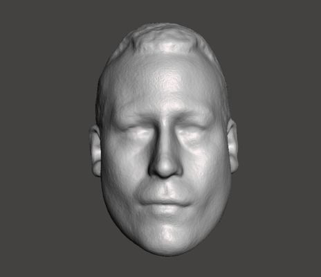 wwe wwf ljn estilo joey estilos personalizadas cabeça esculpir luta livre figura brinquedo escultura 3d print model - Mito3D