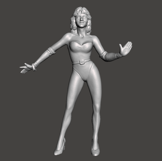 wwe wwf ljn stile Perdere Elisabetta figura wrestling giocattolo scultura 3d print model - Mito3D
