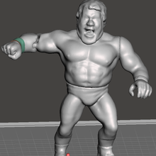 wwf wwe aew ecw wcw 3d print model - Mito3D