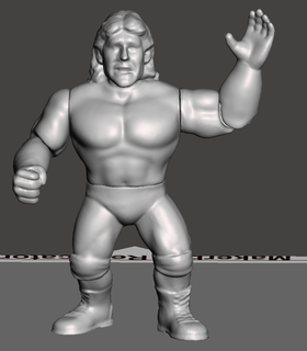 wwf wwe aew ecw wcw Arte 3d print model - Mito3D