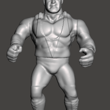 wwf wwe aew ecw wcw arte 3d print model - Mito3D