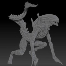 xenomorph specie aliene vari ripley nave spazio 3d print model - Mito3D