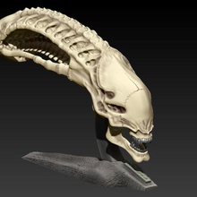 xenomorph skull base art alien predator vs 3d print model - Mito3D