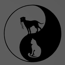 yin yang chien chat 2d 3d print model - Mito3D