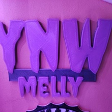 ynw Melly logo musica anca luppolo 3d print model - Mito3D