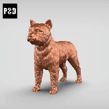 Yorkie v3 Sanat köpek hayvan oyuncak Evcil Hayvan figürinler 3d print model - Mito3D
