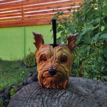yorkshire compagno cane esca cucciolo yorshire 3d print model - Mito3D
