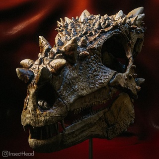 giovane pachycephalosaurus dracorex cranio arte dinosauro fossile estinto animale paleontologia paleo stl realistico Drago testa cornuto 3d print model - Mito3D