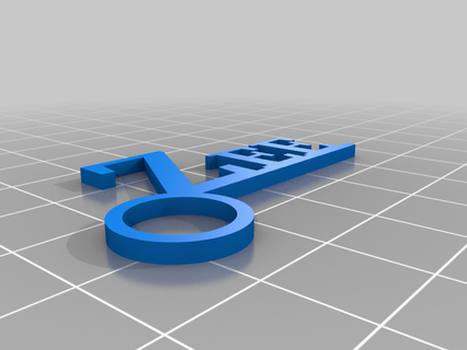Zee angepasst Schlüsselanhänger 3d print model - Mito3D