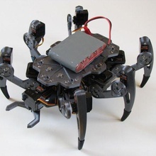 zerobug - diy hexapod robot gadget arduino raspberry pi servo stm32 robotics 3d print model - Mito3D