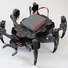 nullbug DIY Hexapod Roboter Gadget Arduino Himbeere pi Servo stm32 Robotik 3d print model - Mito3D