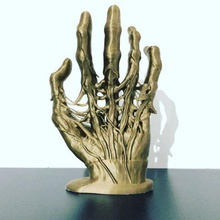 zombie mão de impressão 3d a arte anatomia ossos veias tendões morte brinquedo ornamento 3d print model - Mito3D