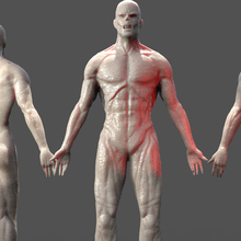 zumbi Guerreiro anatomia 1 3d print model - Mito3D