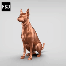 pinscher anão v2 arte cão animal brinquedo estatuetas 3d print model - Mito3D