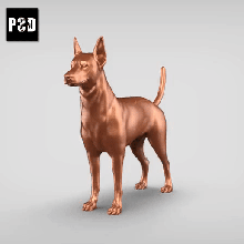 pinscher anão v3 arte cão animal brinquedo estatuetas 3d print model - Mito3D