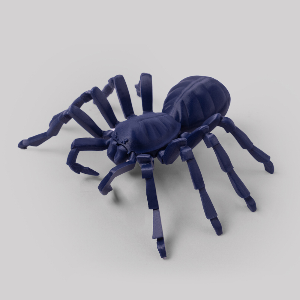 tarantula spider - print place articulated 3D print model - Mito3D