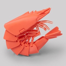 flexy crevette 3d print model - Mito3D