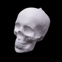 skull lighting 3d print model - Mito3D