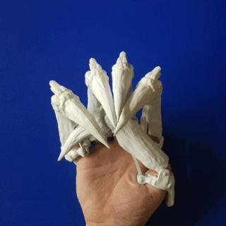 bone finger 3d print model - Mito3D