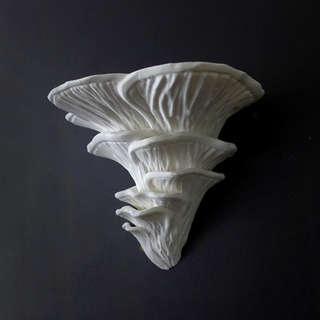 wall shelf - djamor fungus 3d print model - Mito3D