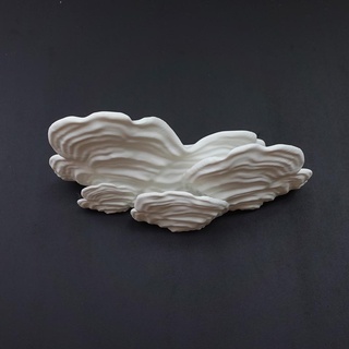 wall shelf - ostrea fungus 3d print model - Mito3D