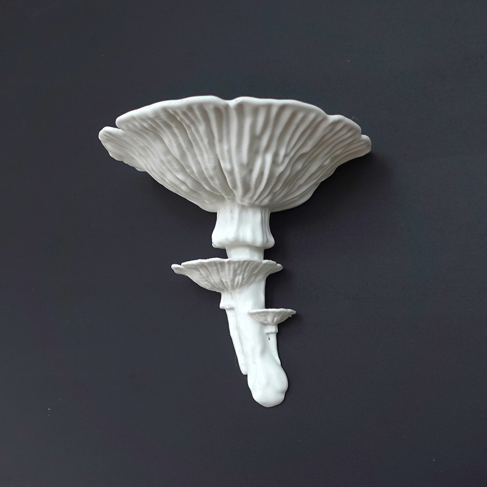 parete mensola amanita fungo 3D print model - Mito3D